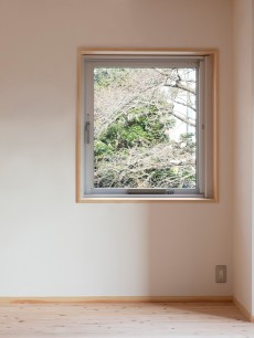 4_窓から見える桜の木