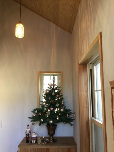 安土草多さんの照明とクリスマスツリー