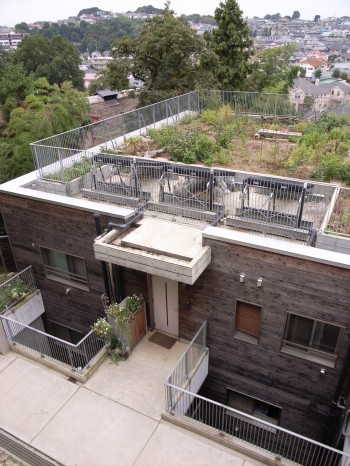 屋上菜園と太陽熱温水器