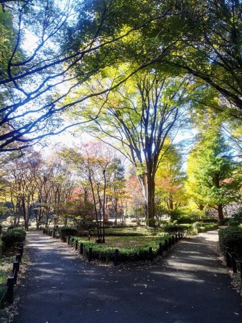 北の丸公園