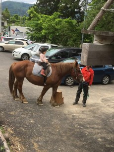 乗馬