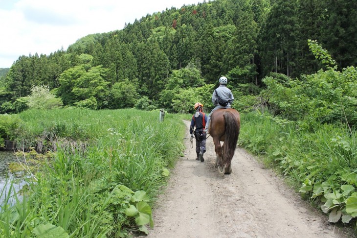 乗馬