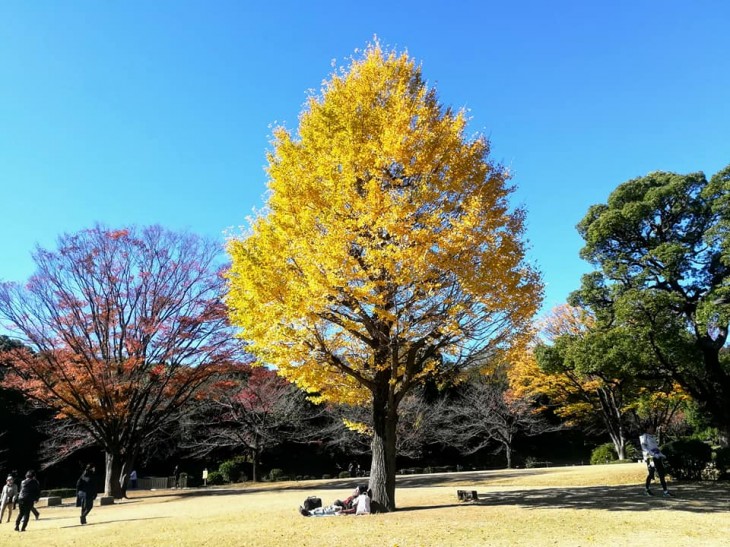 北の丸公園