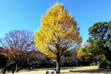 北の丸公園