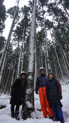 天然住宅完成見学会＠東小金井　大黒柱伐採