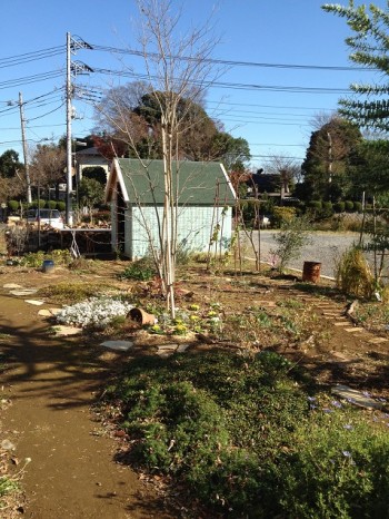 育てる住まい