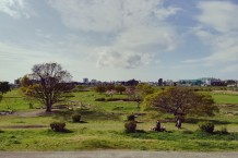 多摩川の河川敷