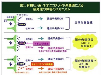 ネオニコチノイド