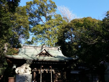 氷川神社