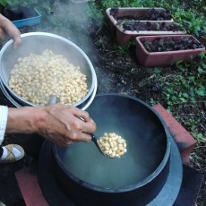 鉄釜で茹でる大豆